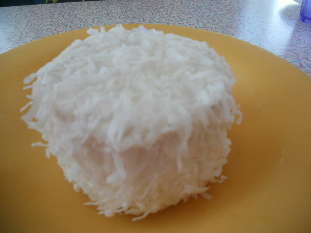 DSCN4952