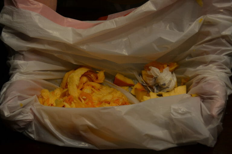 The leavings from a cut pumpkin cavity, with a white plastic bag folded over for no-mess clean-up.