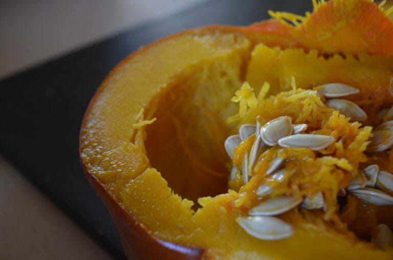 Close-up of a half small cooked pumpkin, exposing the seeds.