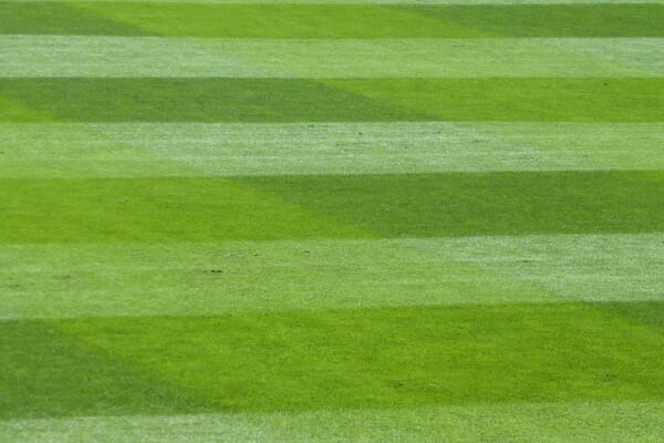A striped lawn from mowing in rows in opposite directions.