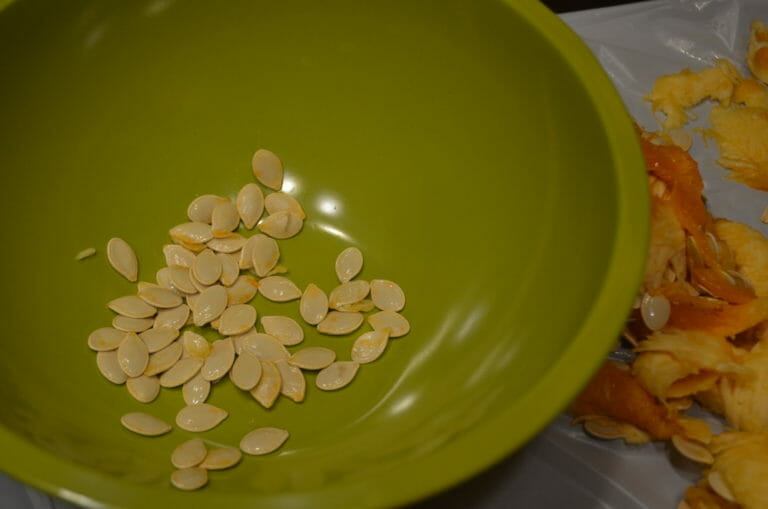 Cleaned fresh pumpkin seeds inside a green bowl.