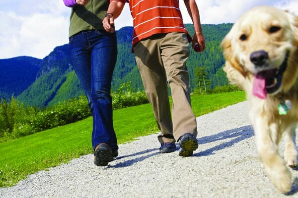 A couple with a backdrop of a pine covered hillside, walking their Golden Retriever dog. 