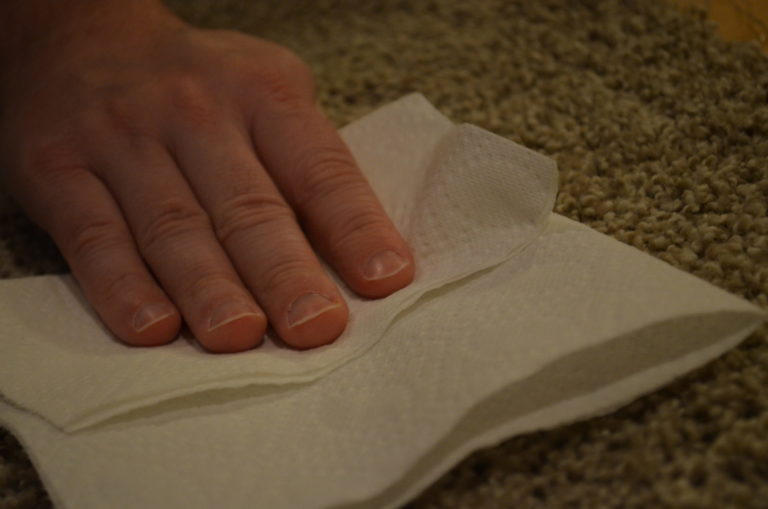Close-up of a person blotting a carpet spill with a folded paper towel.