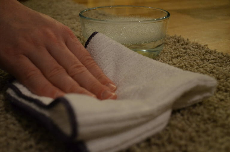 A person blotting a carpet spill with a folded white dish cloth, with a nearby bowl of a lemon and water mixture.