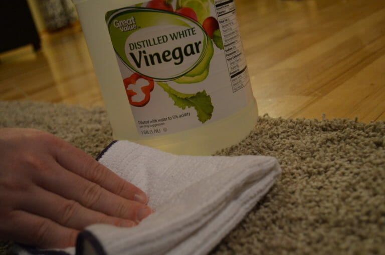 A person blotting a carpet spill with a folded white dish cloth, with a nearby bottle of white vinegar.