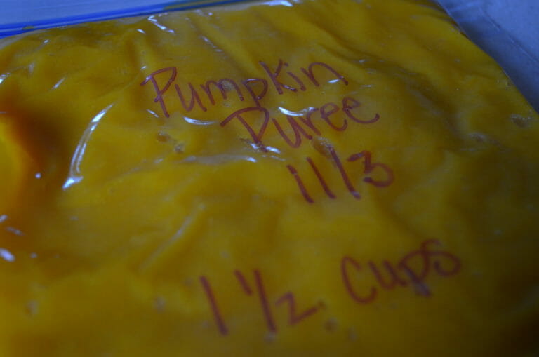 A freezer bag labeled with Pumpkin Puree, 11/3, 1-1/2 Cups.