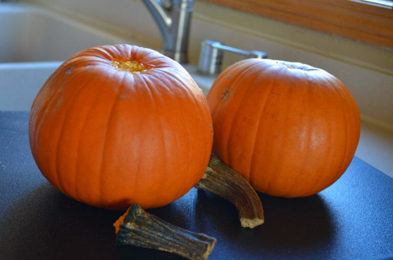 Two small pumpkins on a cutting board, with the stems removed.
