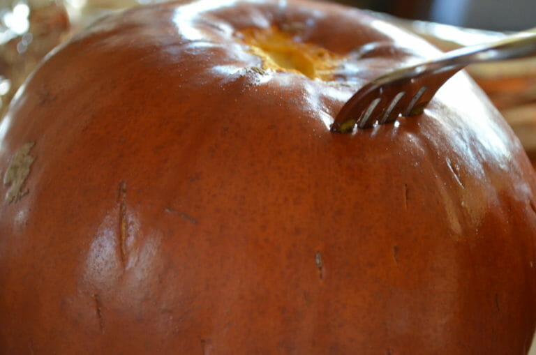 A fork sunk into a small cooked pumpkin, checking for doneness.