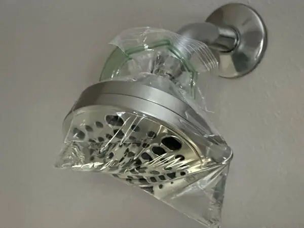 https://blog.ginnys.com/wp-content/uploads/sites/16/2023/02/Showerhead-Cleaning.jpg.webp